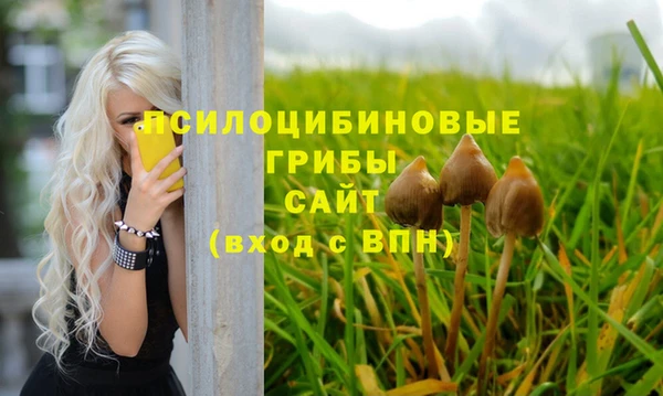 винт Алапаевск