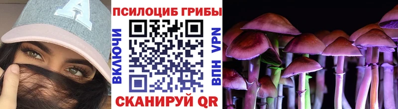 купить закладку  Бежецк  Псилоцибиновые грибы Psilocybine cubensis 